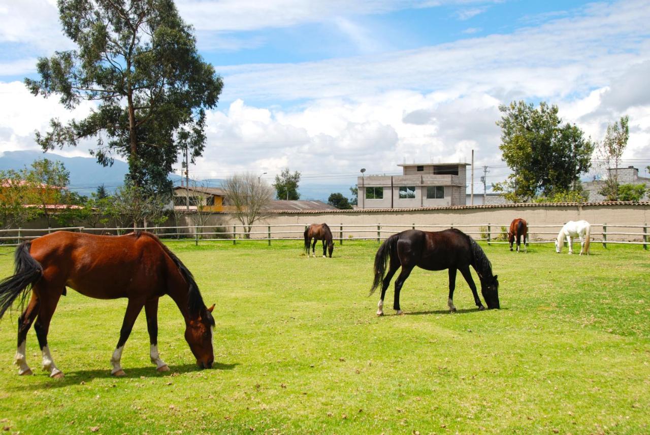 Hacienda Cusin Hotel Otavalo Buitenkant foto